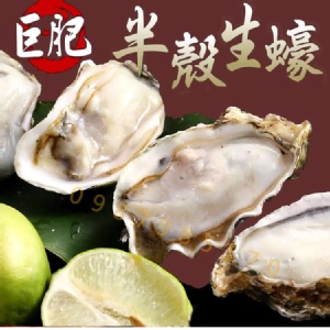 韓國半殼生蠔.超大尺寸.12-15CM中秋燒烤必備.顆顆飽滿鮮甜 25顆1包 特價：$500