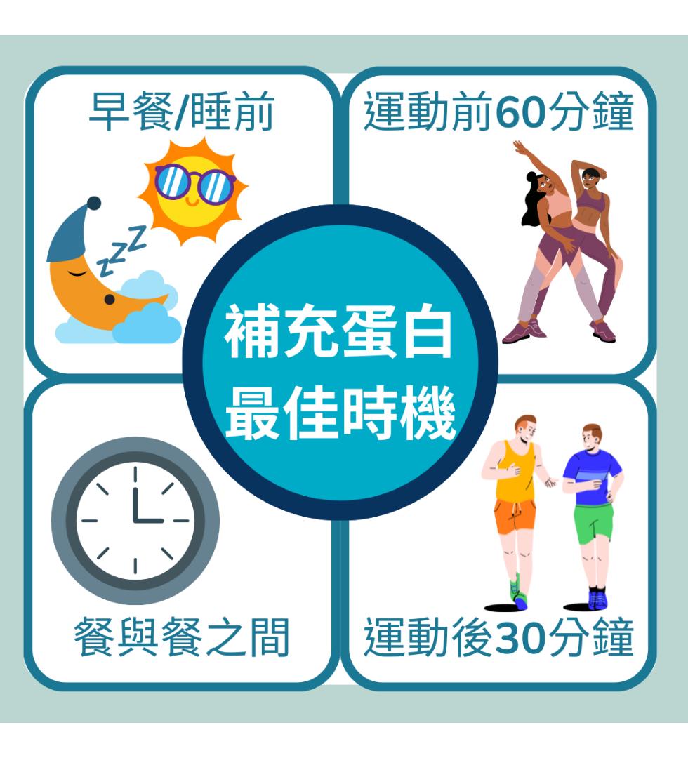 早餐/睡前，運動前60分鐘，補充蛋白，最佳時機，餐與餐之間，運動後30分鐘。