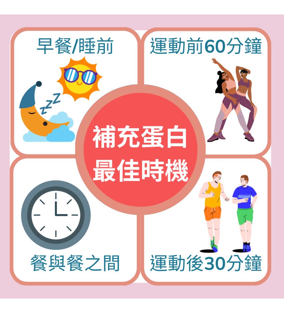 早餐/睡前，運動前60分鐘，補充蛋白，最佳時機，餐與餐之間，運動後30分鐘。