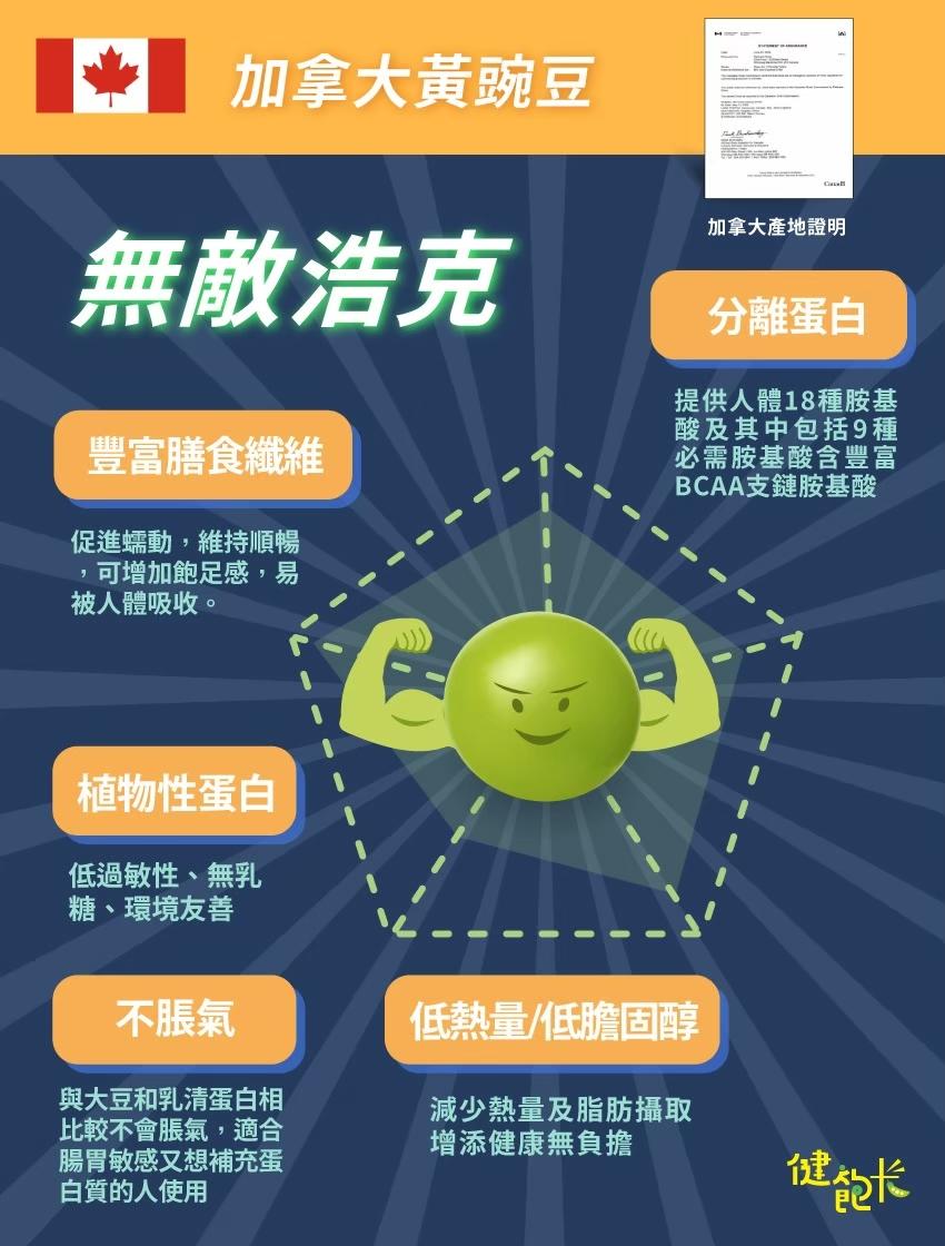 加拿大黃豌豆，無敵浩克，豐富膳食纖維，促進蠕動,維持順暢，可增加飽足感,易，被人體吸收。植物性蛋白，低過敏性、無乳，糖、環境友善，加拿大產地證明，分離蛋白，提供人體18種胺基，酸及其中包括9種，必需胺基酸含豐富，BCAA支鏈胺基酸，不脹氣，與大豆和乳