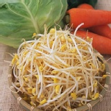 無毒豆芽菜 【低溫類】夏日輕食開胃菜系列【純素】