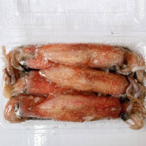 東北角船凍二排卷