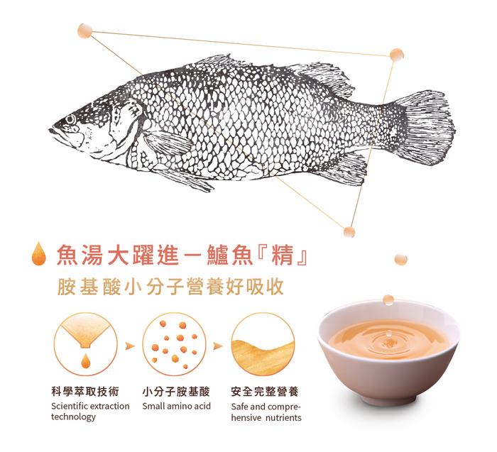 魚湯大躍進-鱸魚精胺基酸小分子營養好吸收，科學萃取技術，小分子胺基酸，安全完整營養。