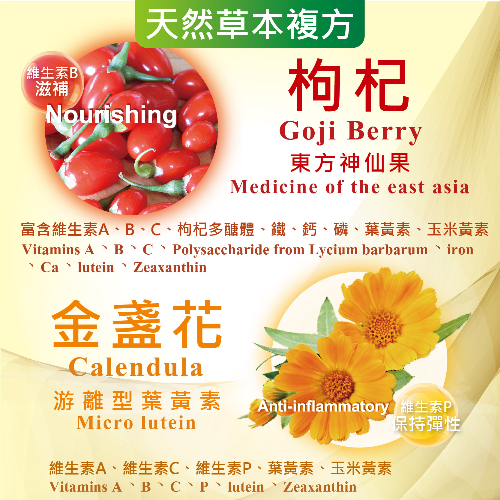 維生素B，天然草本複方，東方神仙果，富含維生素A、B、C、枸杞多醣體、鐵、鈣、磷、葉黃素、玉米黃素，Ca丶lutein 、 Zeaxanthin，金盞花，游離型葉黃素 Anti-inflammatory 維生素P，保持彈性，維生素A、維生素C、維生素