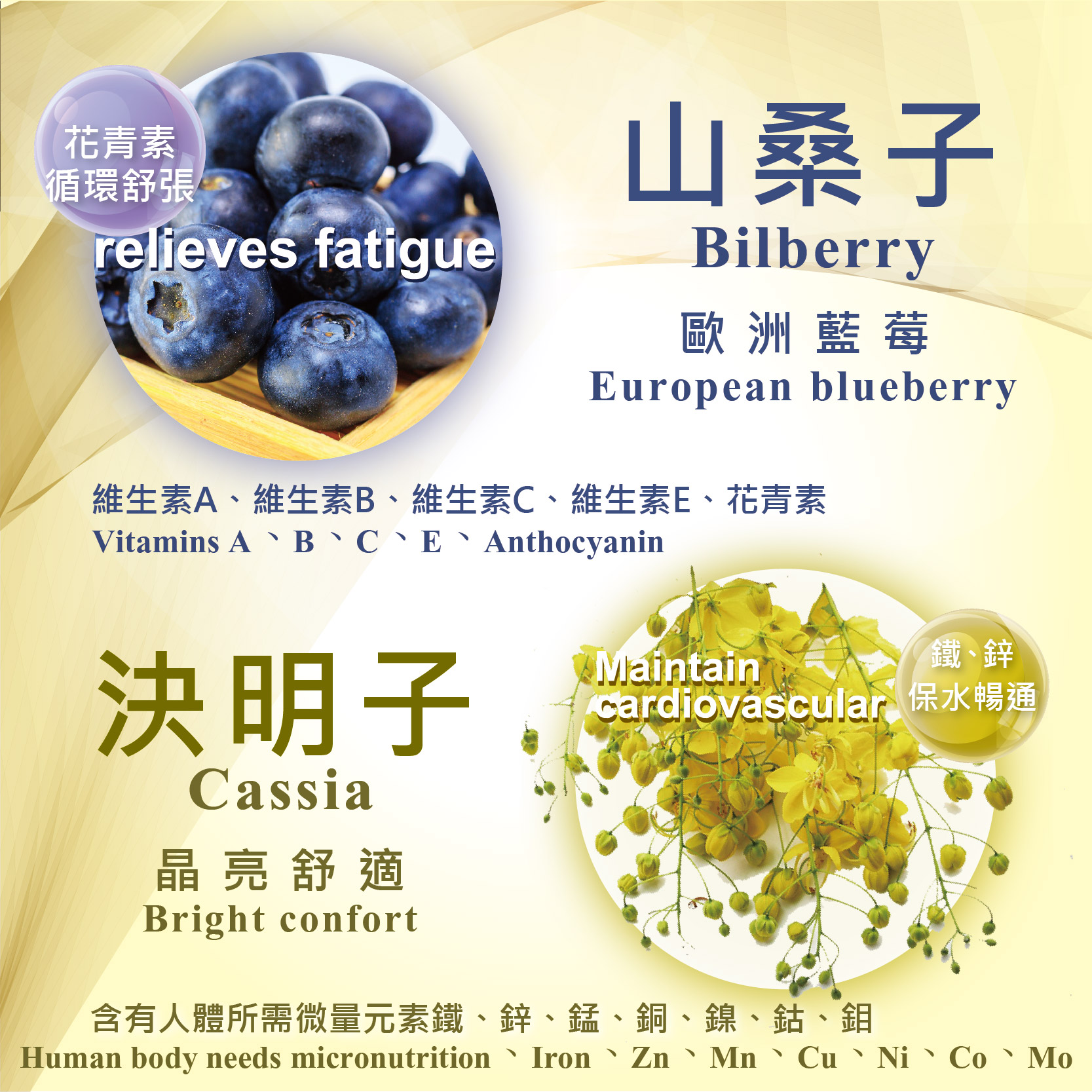 花青素，循環舒張，山桑子，歐洲藍莓，維生素A、維生素B、維生素C、維生素E、花青素，決明子，晶亮舒適，鐵、鋅，cardiovascular 保水暢通，含有人體所需微量元素鐵、鋅、錳、銅、鎳、鈷、鉬。