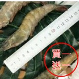 超大台灣大尾活力白蝦