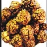 爆爆谷爆米花 (甜)蘑菇牛奶巧克力球 爆爆包 ╭★頂級歐洲100％可可與濃郁牛奶混合 160g/包