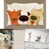 貓咪桌曆