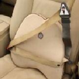 安全帶固定器 非購買價 特價：$100