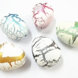 孵蛋 特價：$300