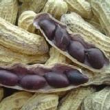 【黑金剛花生】《EMMA易買健康》簡單說就是~香.酥.脆~對了~挑戰拍網最低價喔! 1包300g只要60元 特價：$60