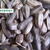 【奶油葵瓜子】《易買健康堅果零嘴坊》高貴漢藥再加鮮奶製成的休閒製品.年節必備 1包600g只要78元