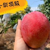 外銷品 5台斤 約10-14顆