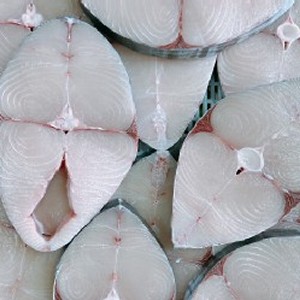 現流土魠魚片 香煎肥嫩好吃