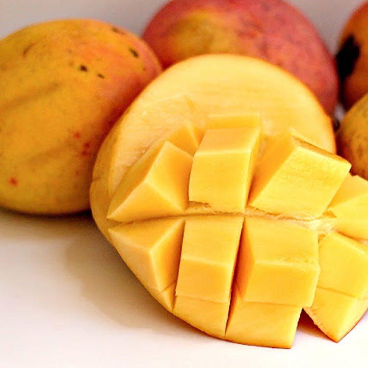 【雙聖冰淇淋】芒果雪寶口味