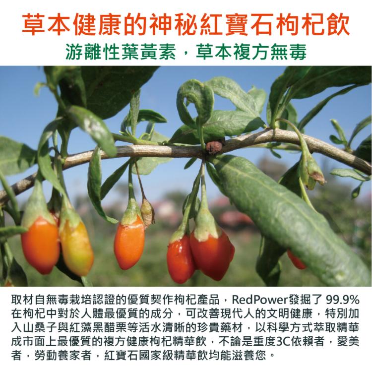 【紅寶力晶亮枸杞滋潤飲】30包/盒 枹杞金盞花萃取 葉黃素 天然草本 素食