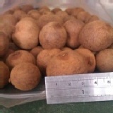 帶殼龍眼乾 特價：$140