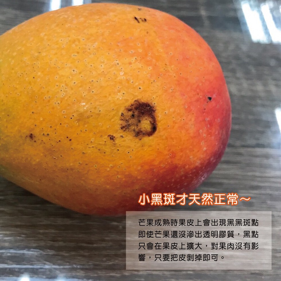 小黑斑才天然正常~，芒果成熟時果皮上會出現黑黑斑點，即使芒果還沒滲出透明膠質,黑點，只會在果皮上擴大,對果肉沒有影，響,只要把皮剝掉即可。