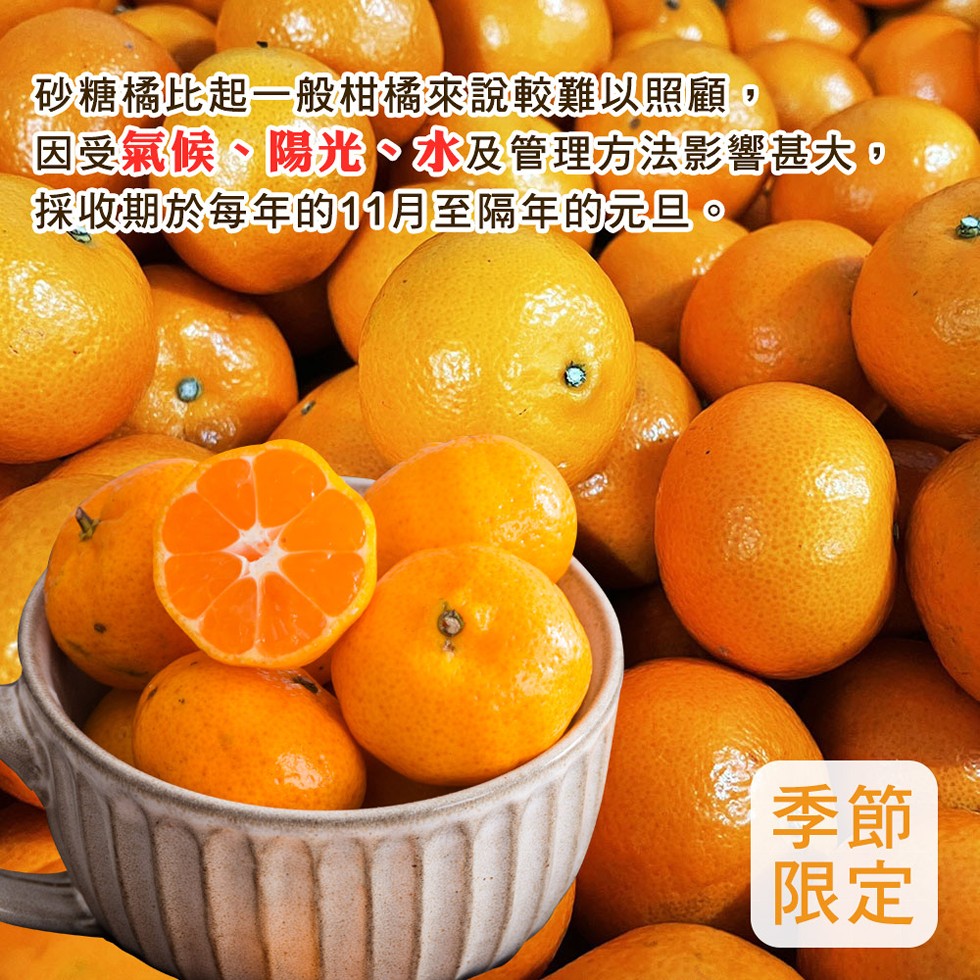 砂糖橘比起一般柑橘來說較難以照顧:因受氣候、陽光、水及管理方法影響甚大。採收期於每年的11月至隔年的元。