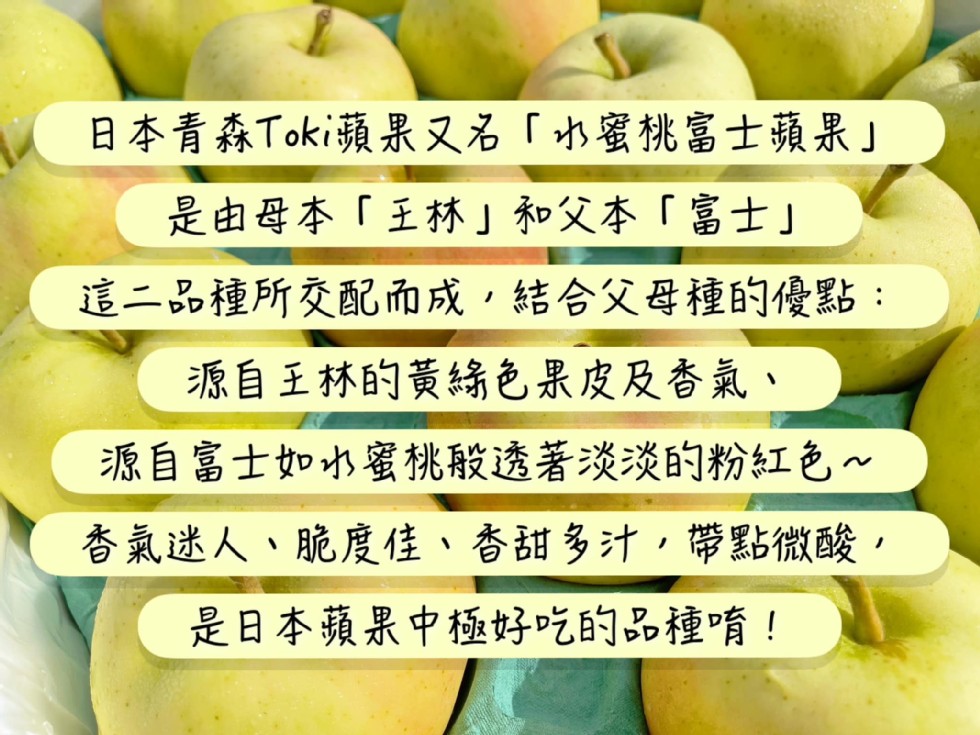 日本青森Toki蘋果又名水蜜桃富士蘋果是由母本王林和父本富士這二品種所交配而成,結合父母種的優點:源自王林的黃綠色果皮及香氣、源自富士如水蜜桃般透著淡淡的粉紅色~，香氣迷人、脆度佳、香甜多汁,帶點微酸,是日本蘋果中極好吃的品種唷!。