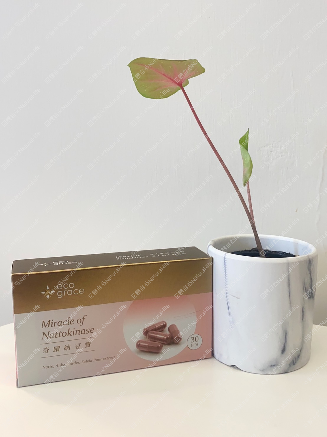 回歸自然Natural-life，回歸自然Natural-life 回歸自然Natural-life，回歸自然Natural-life 回歸自然Natural-life 回歸自然Natural-life，回歸自然Natural-life, 回歸自然N