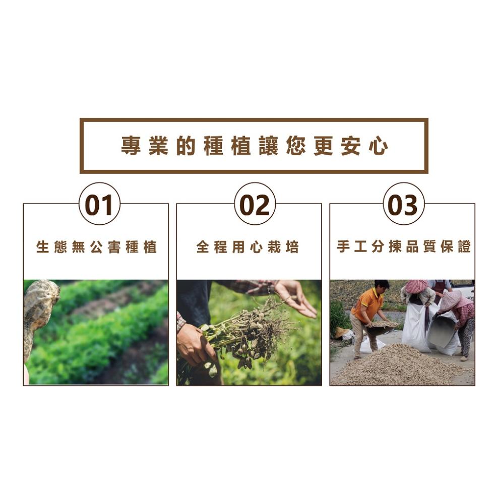 專業的種植讓您更安心，生態無公害種植 全程用心栽培 手工分揀品質保證。