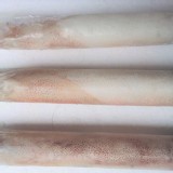 【憶家食堂】活凍小卷 200g 現貨 海鮮團購 小家庭包裝 火鍋 熱炒