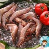 ＊極鮮＊生白蝦60/70