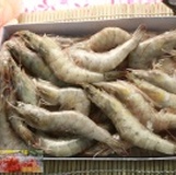 **極鮮嚴選**白蝦26/30