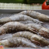 ＊極鮮號＊頂級嚴選草蝦