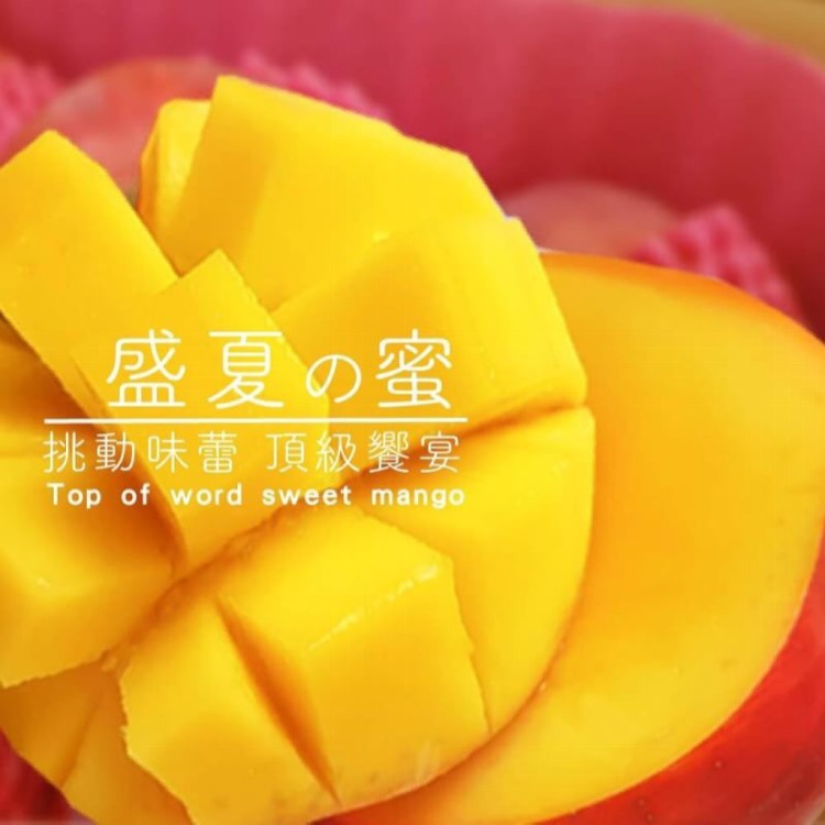 【美力鮮】屏東愛文芒果禮盒(5斤/6-9顆)