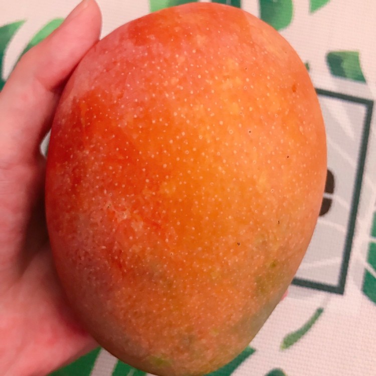 【美力鮮】屏東愛文芒果禮盒(5斤/6-9顆)