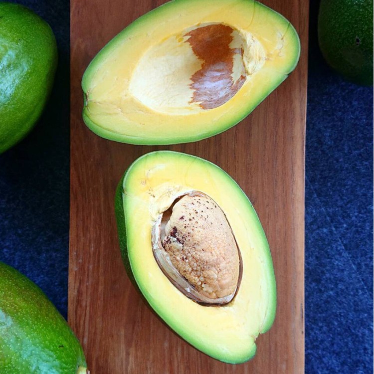 【小農直送】台南麻豆紅心圓酪梨