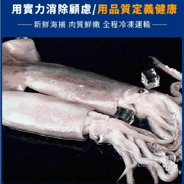 【八兩排】台灣澎湖極脆透抽中卷切片300G±10%