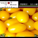 玉女小蕃茄 黃 (莊園直送) ~~購滿9盒送1盒(需運費)~~購滿18盒送2盒(免運費) 特價：$160