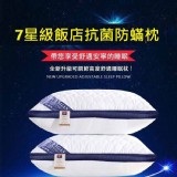 升級版抗菌防蟎七星級枕頭(一組二入)