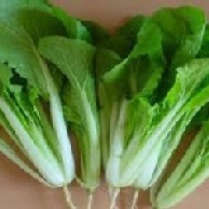 吉園圃認證農場出品 - 小白菜