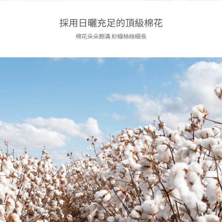 【星紅織品】可愛法鬥純棉浴巾