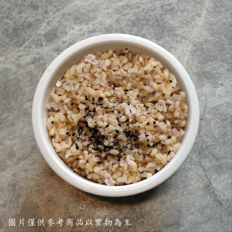 【新益Numeal】十榖養生飯1組10包裝 真空調理包