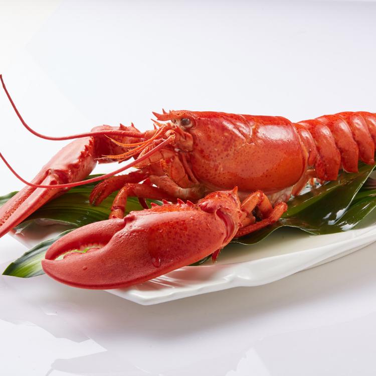 【凍凍鮮】加拿大熟凍波士頓龍蝦 400g±50g