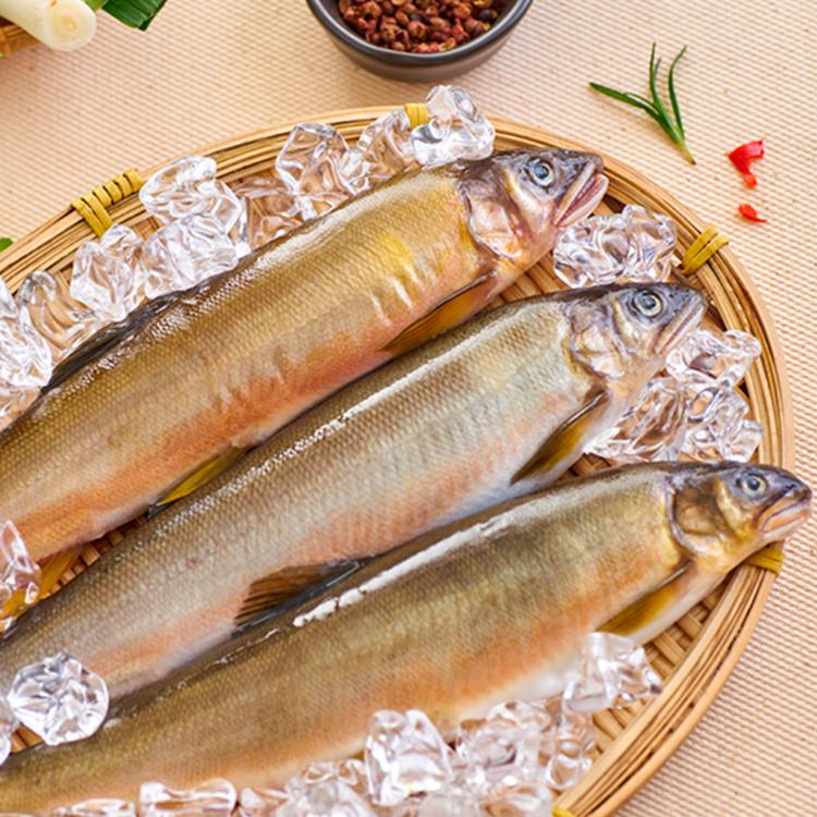 【凍凍鮮】宜蘭養殖大尾爆蛋母香魚160~170g