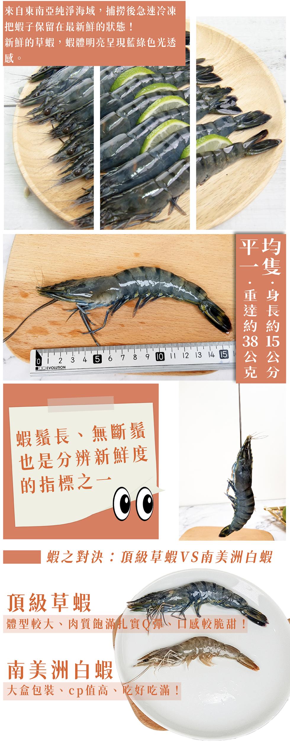 來自東南亞純淨海域,捕撈後急速冷凍，把蝦子保留在最新鮮的狀態!新鮮的草蝦,蝦體明亮呈現藍綠色光透，約 約，■□□ EVOLUTION，蝦鬚長、無斷鬚，也是分辨新鮮度，的指標之一， 蝦之對決:頂級草蝦VS南美洲白蝦，頂級草蝦，體型較大、肉質飽滿扎實彈、