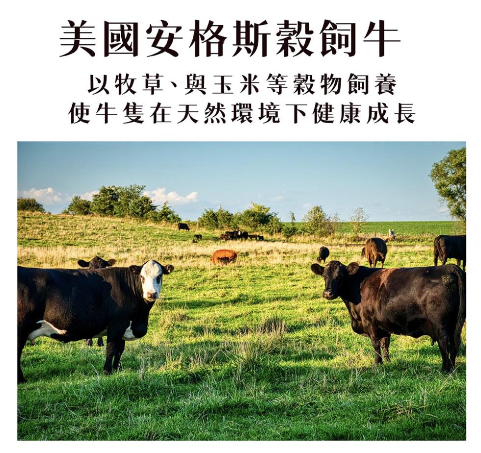 美國安格斯穀飼牛，以牧草、與玉米等穀物飼養，使牛隻在天然環境下健康成長。