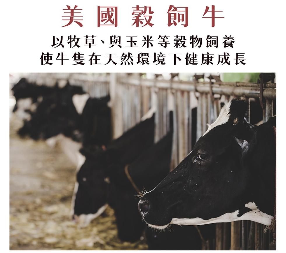 美國穀飼牛，以牧草、與玉米等穀物飼養，使牛隻在天然環境下健康成長。