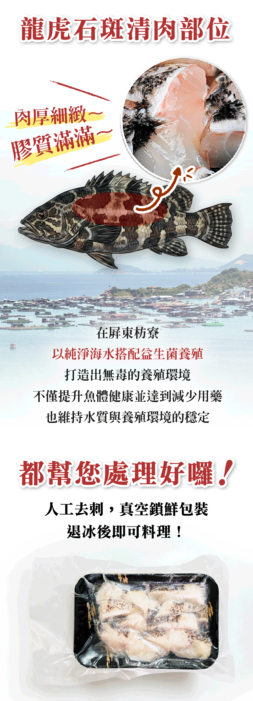 龍虎石斑清肉部位，肉厚細緻~，膠質滿滿，在屏東枋寮，以純淨海水搭配益生菌養殖，打造出無毒的養殖環境，不僅提升魚體健康並達到減少用藥，也維持水質與養殖環境的穩定，都幫您處理好囉!人工去刺,真空鎖鮮包裝，退冰後即可料理!。