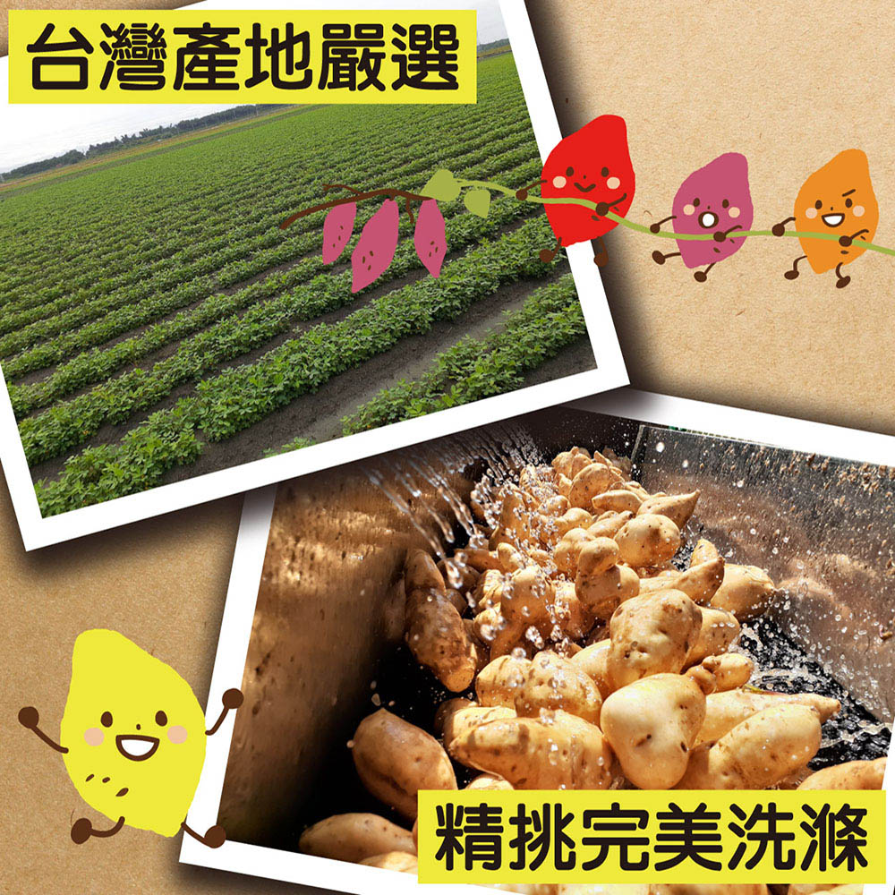 台灣產地嚴選,精挑完美洗滌。