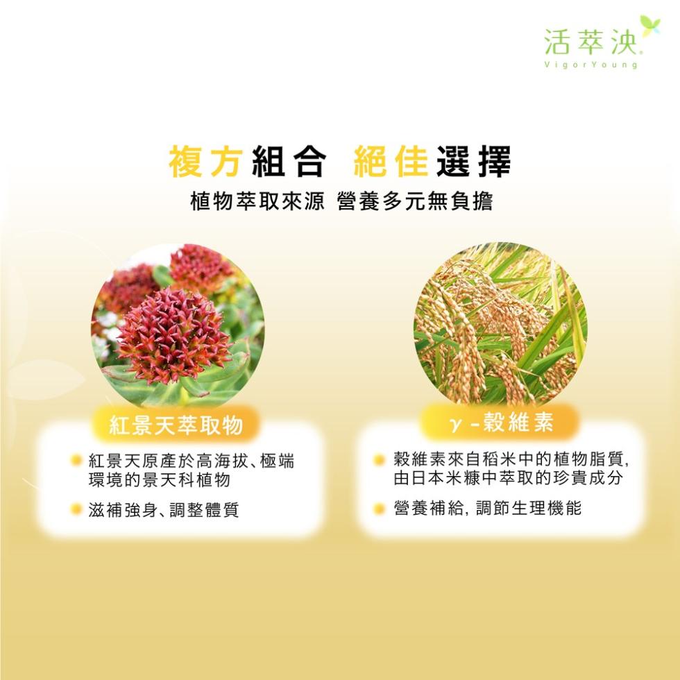 複方組合 絕佳選擇，植物萃取來源 營養多元無負擔，紅景天萃取物，紅景天原產於高海拔､極端，環境的景天科植物，滋補強身､調整體質，活萃泱․，y -穀維素，穀維素來自稻米中的植物脂質,由日本米糠中萃取的珍貴成分，營養補給, 調節生理機能。