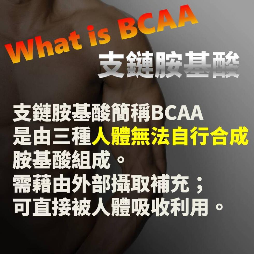 支鏈胺其醜，支鏈胺基酸簡稱BCAA，是由三種人體無法自行合成，胺基酸組成。需藉由外部攝取補充;，可直接被人體吸收利用。