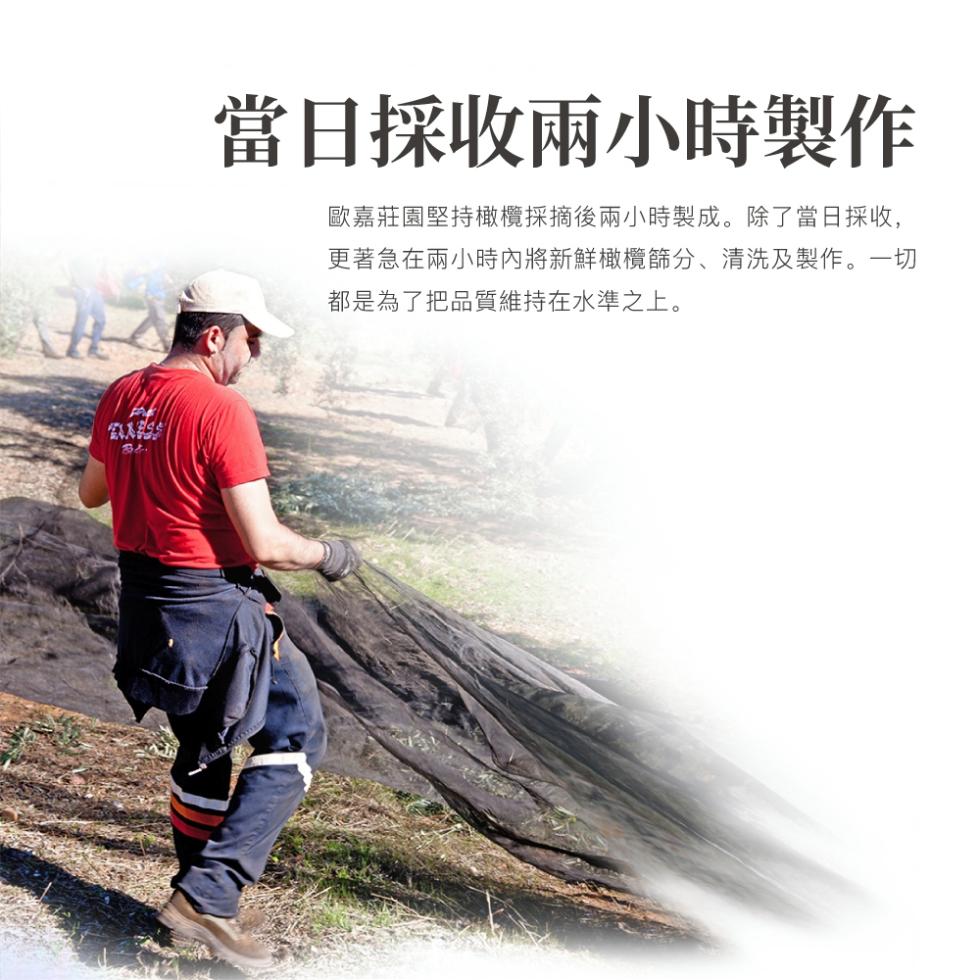當日採收兩小時製作，歐嘉莊園堅持橄欖採摘後兩小時製成。除了當日採收,更著急在兩小時內將新鮮橄欖篩分、清洗及製作。一切，都是為了把品質維持在水準之上。