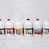 寵物之星4000ML大桶洗毛精 (白紅黃橘綠四色)(藍色無折扣) 特價：$1500